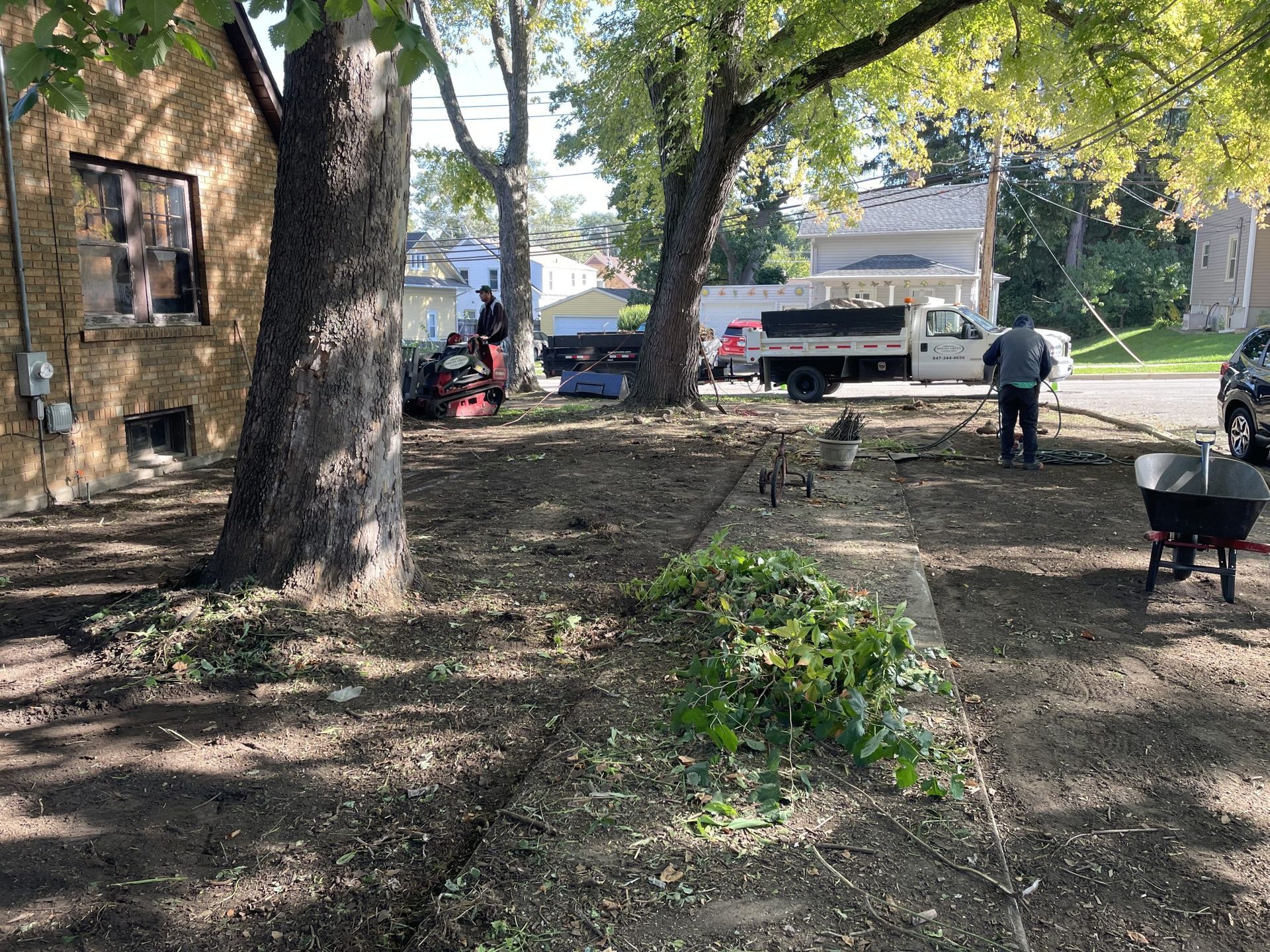 Yard work in progress: Workers, truck, wheelbarrow, trees, debris, and a building on a sunny day.