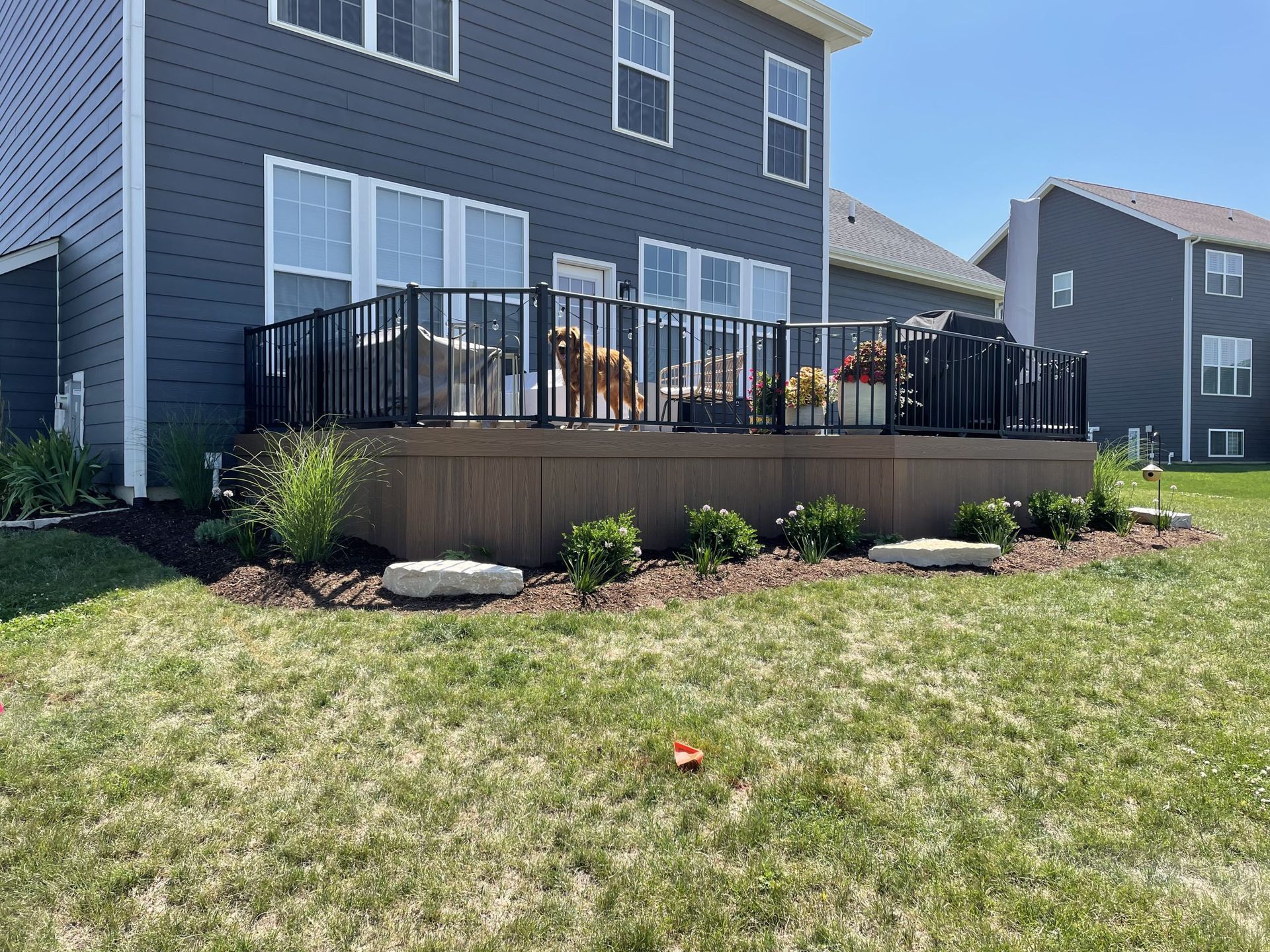 Backyard deck with black railings, brown composite decking, and landscaping in front of a blue house.