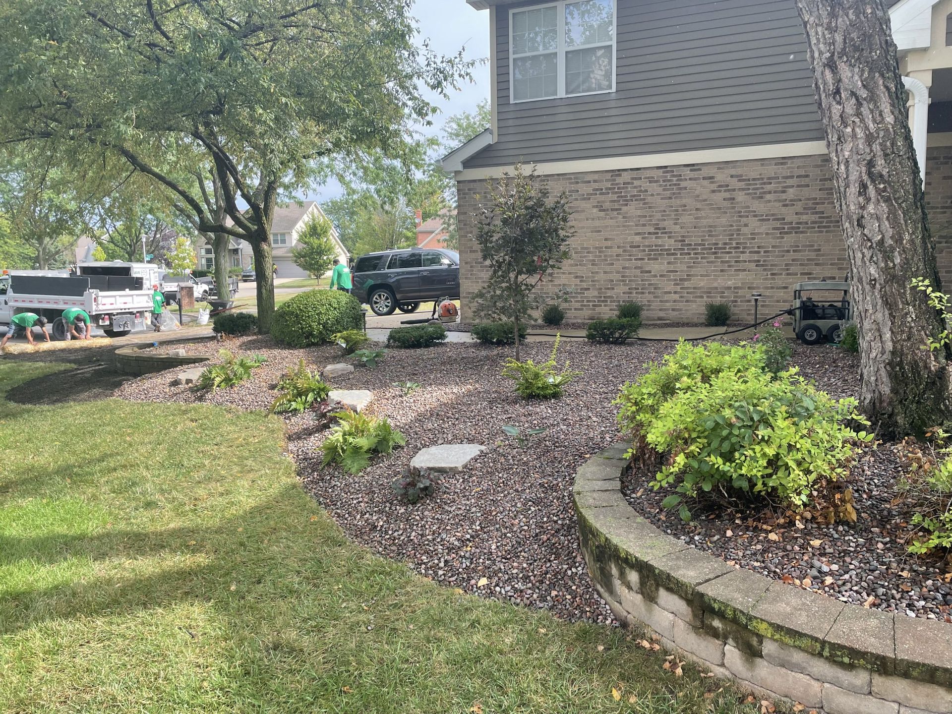 Landscaped front yard with shrubs, mulch, and house in background.