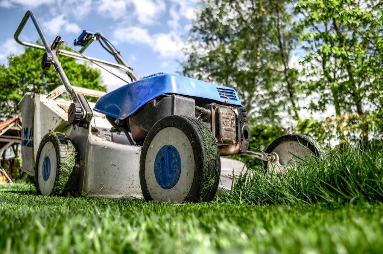 Lawnmower on green grass, blue and white with tall blades of grass in the foreground. Trees in the background.