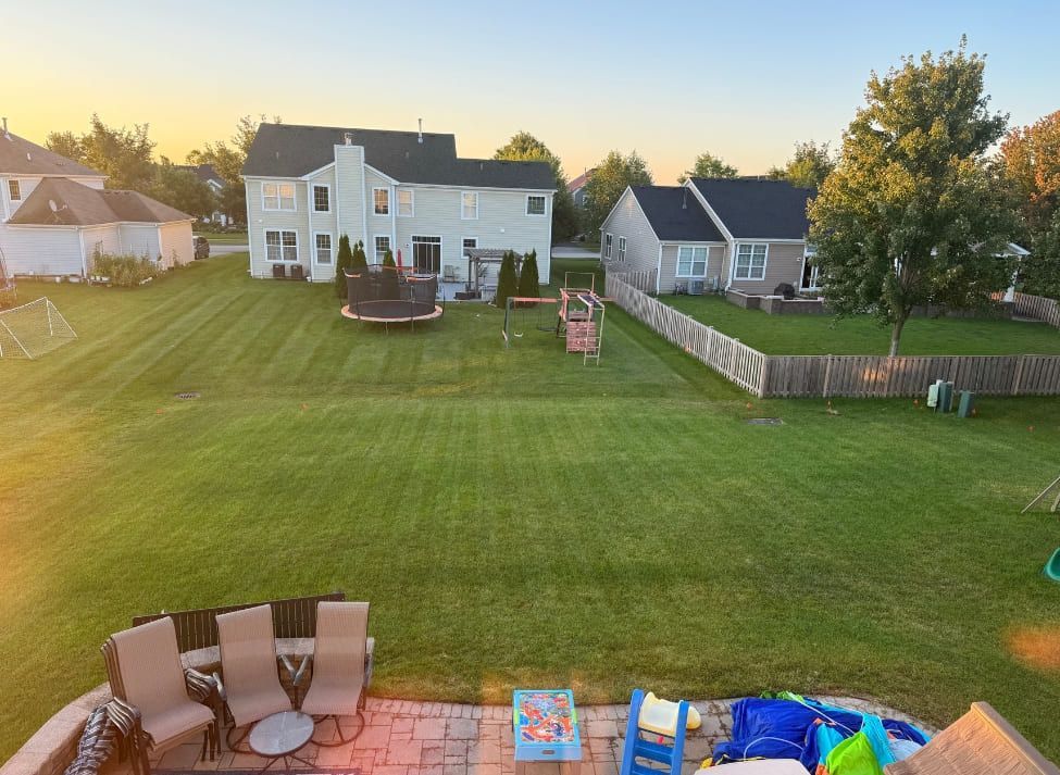Backyard with mowed lawn, houses, and a patio. Includes a trampoline and playset, golden hour lighting.