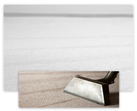 Cleaning a Striped Carpet — Honolulu, HI — Home Value Services Cleaning a Striped Carpet — Honolulu, HI — Home Value Services