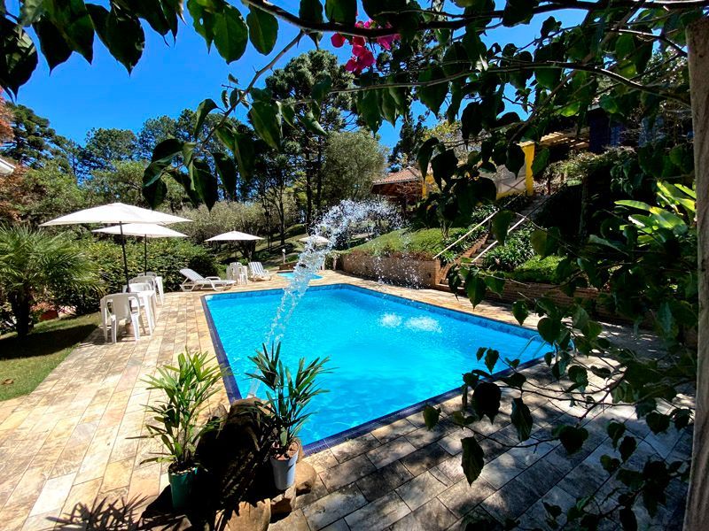 Piscina rodeada de vegetação e mobiliário de jardim sob um céu azul brilhante.