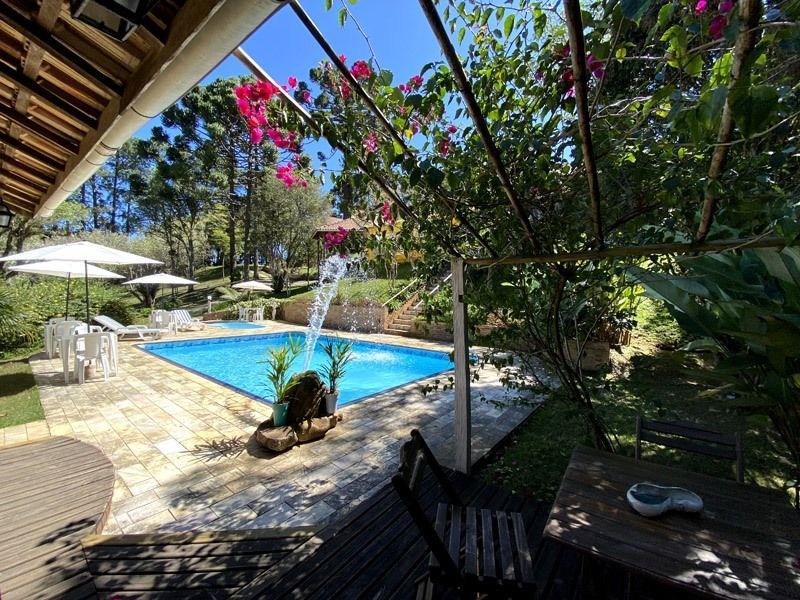 Piscina rodeada por plantas verdes, árvores e mobiliário de jardim num dia ensolarado.