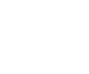 Christine A. Carlino Attorney at Law