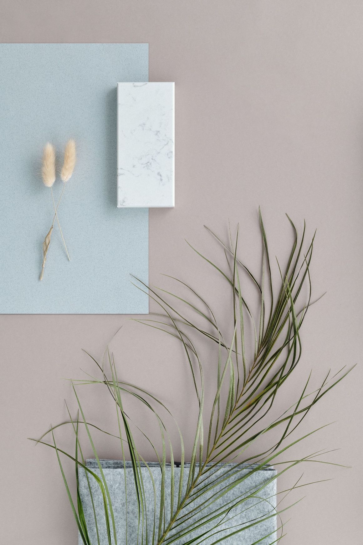 Minimalist wall display with pastel panels, dried stems, and a white rectangular card