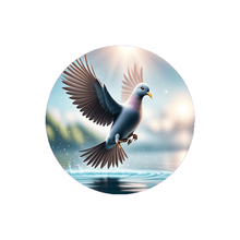 Central Islip Chamber of Commerce Inc.