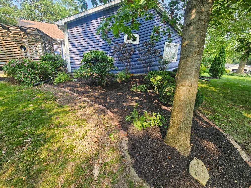 Backyard with blue house siding, tree, shrubs, and a grassy path in dappled sunlight