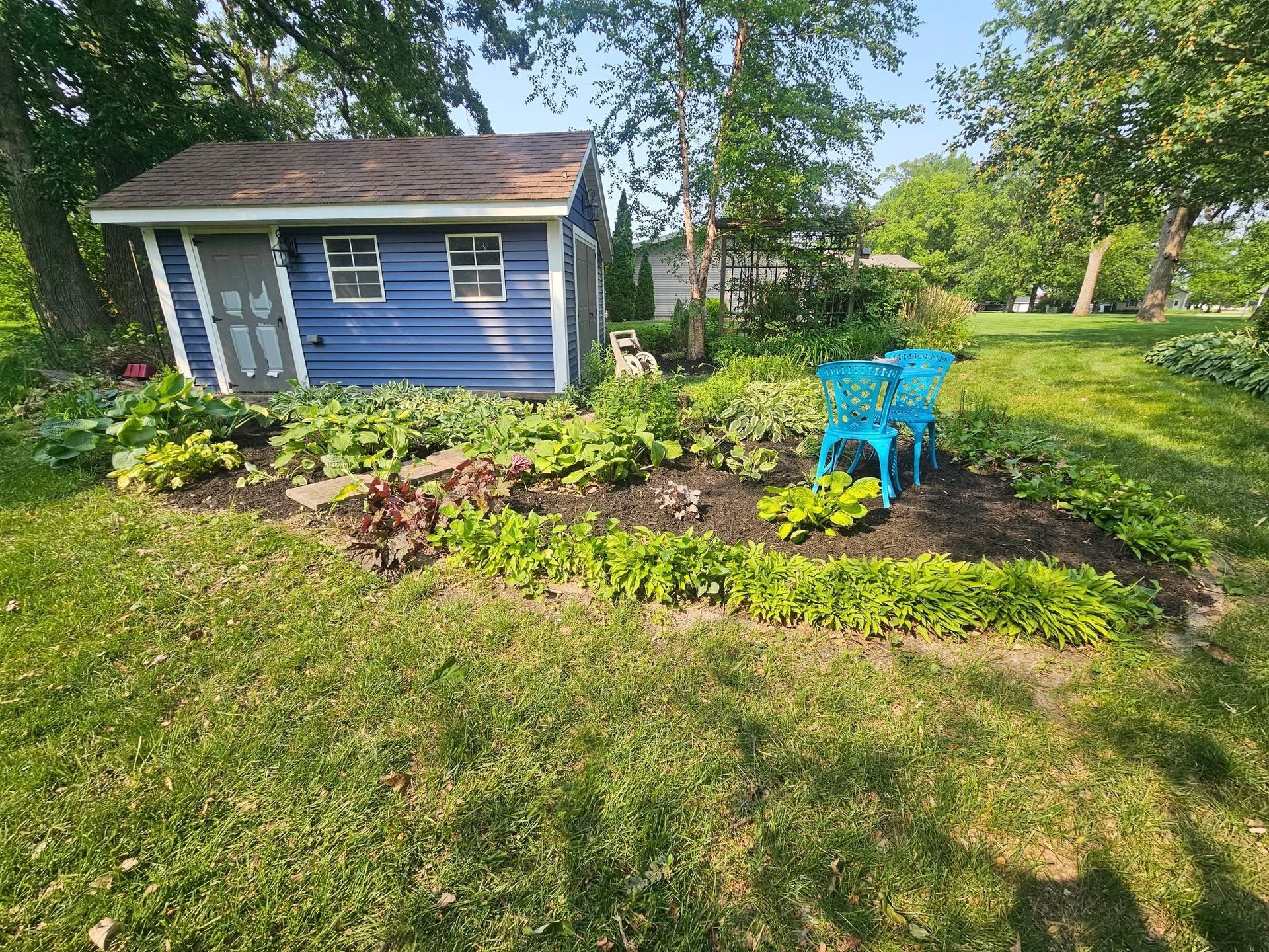 Blue garden shed beside a mulched flower bed and turquoise chair in a sunny yard