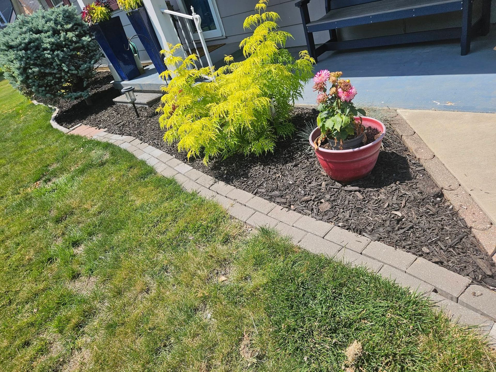 Front yard flower bed with yellow and pink plants beside a walkway and porch