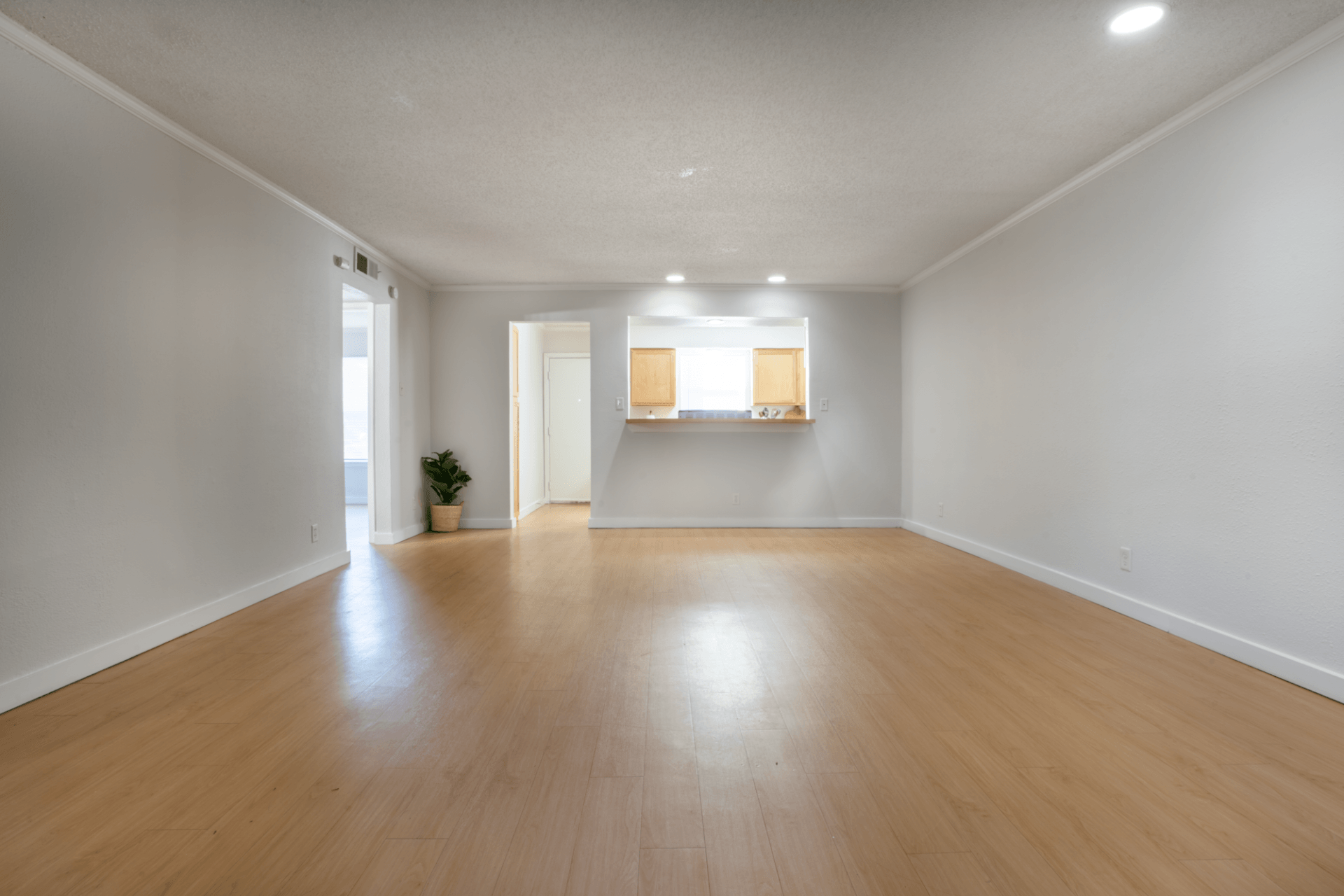 Abbey Road Apartments Austin Texas