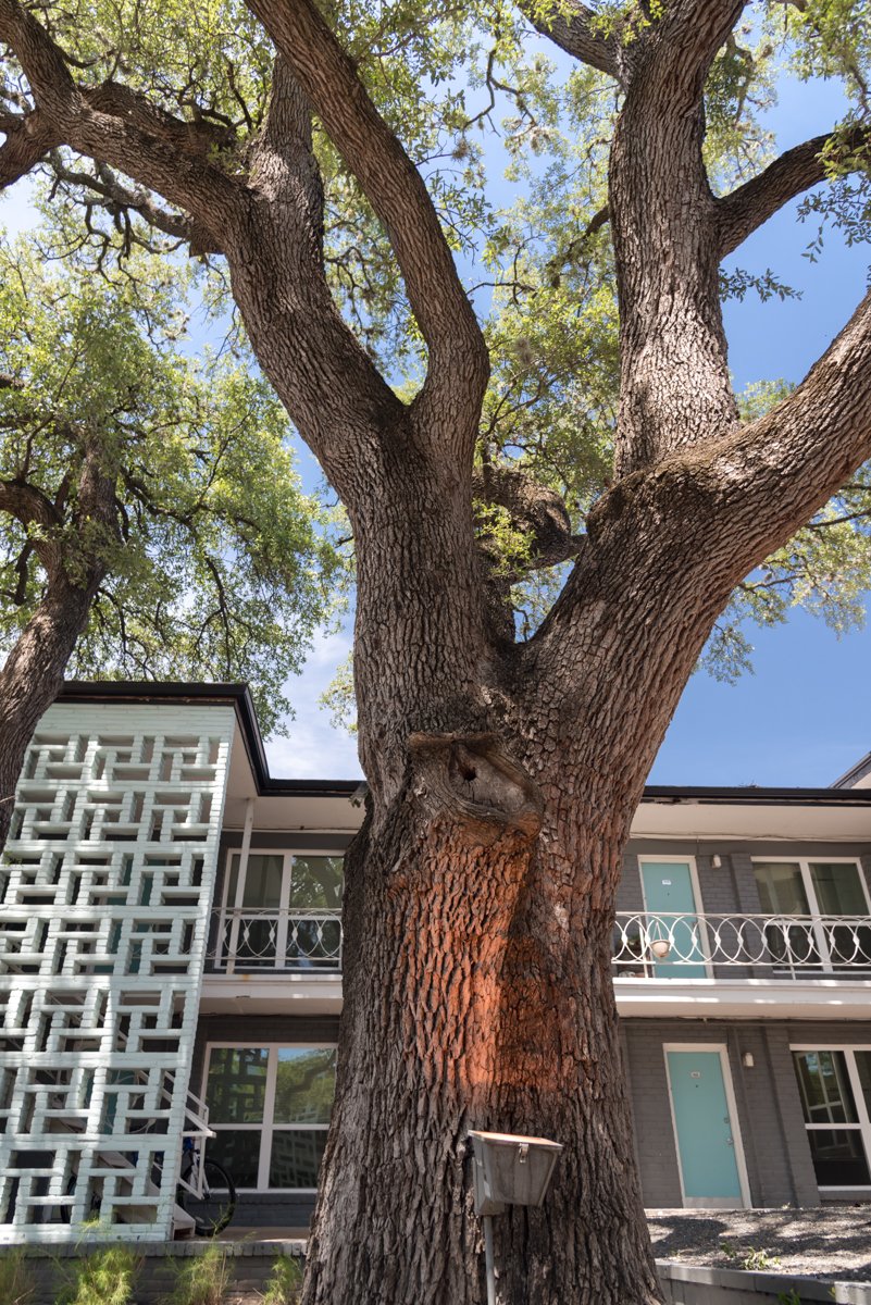 River Oaks Apartments Austin Texas