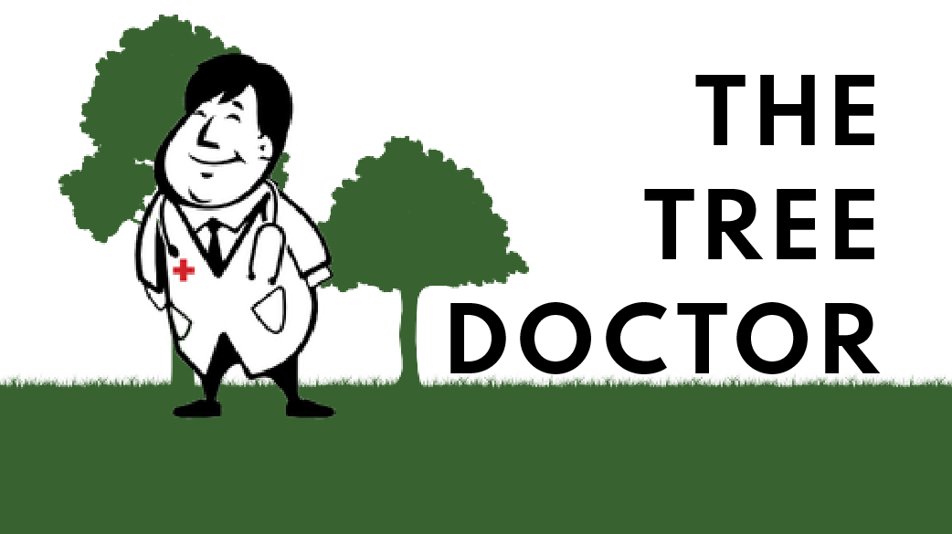 Logo of The Doctor Tree