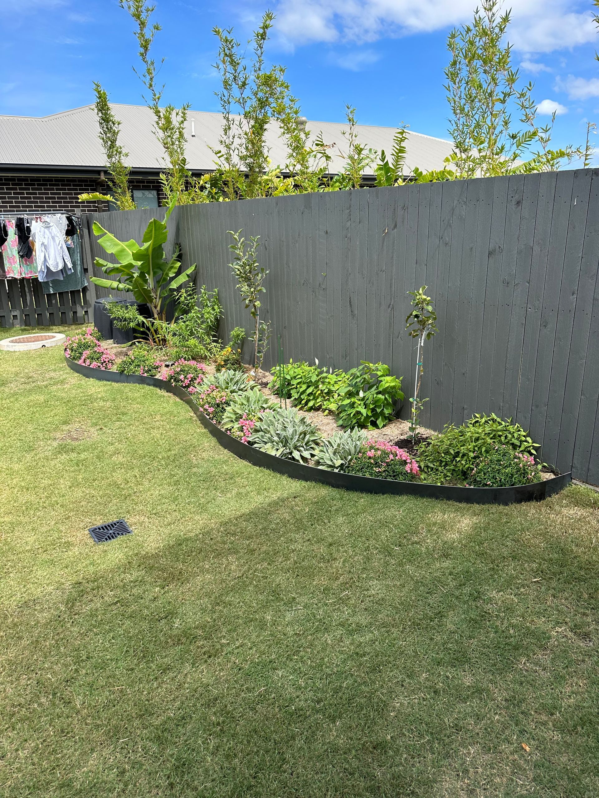 Flowing garden bed with mixed flowering plants, young fruit trees and mulch, bordered by curved steel edging and green lawn
