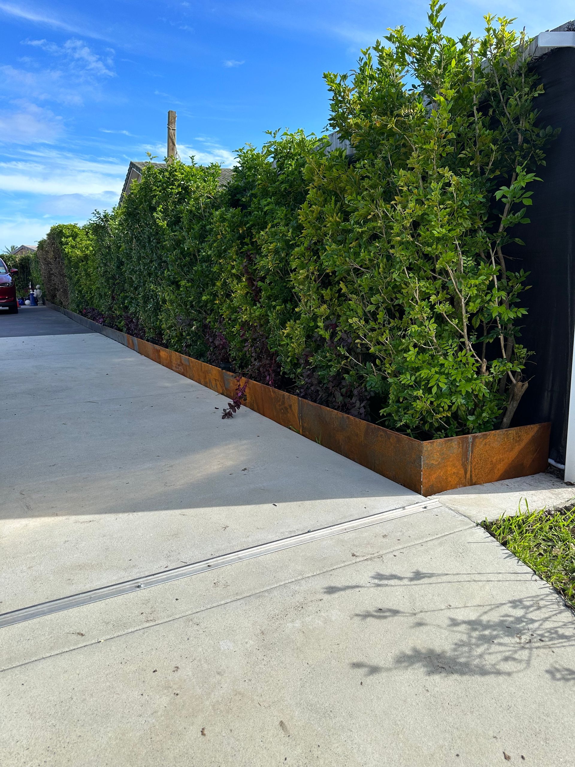 Straightcurve steel edging in a corten rust finish separating a driveway from a dense established hedge on a Gold Coast property
