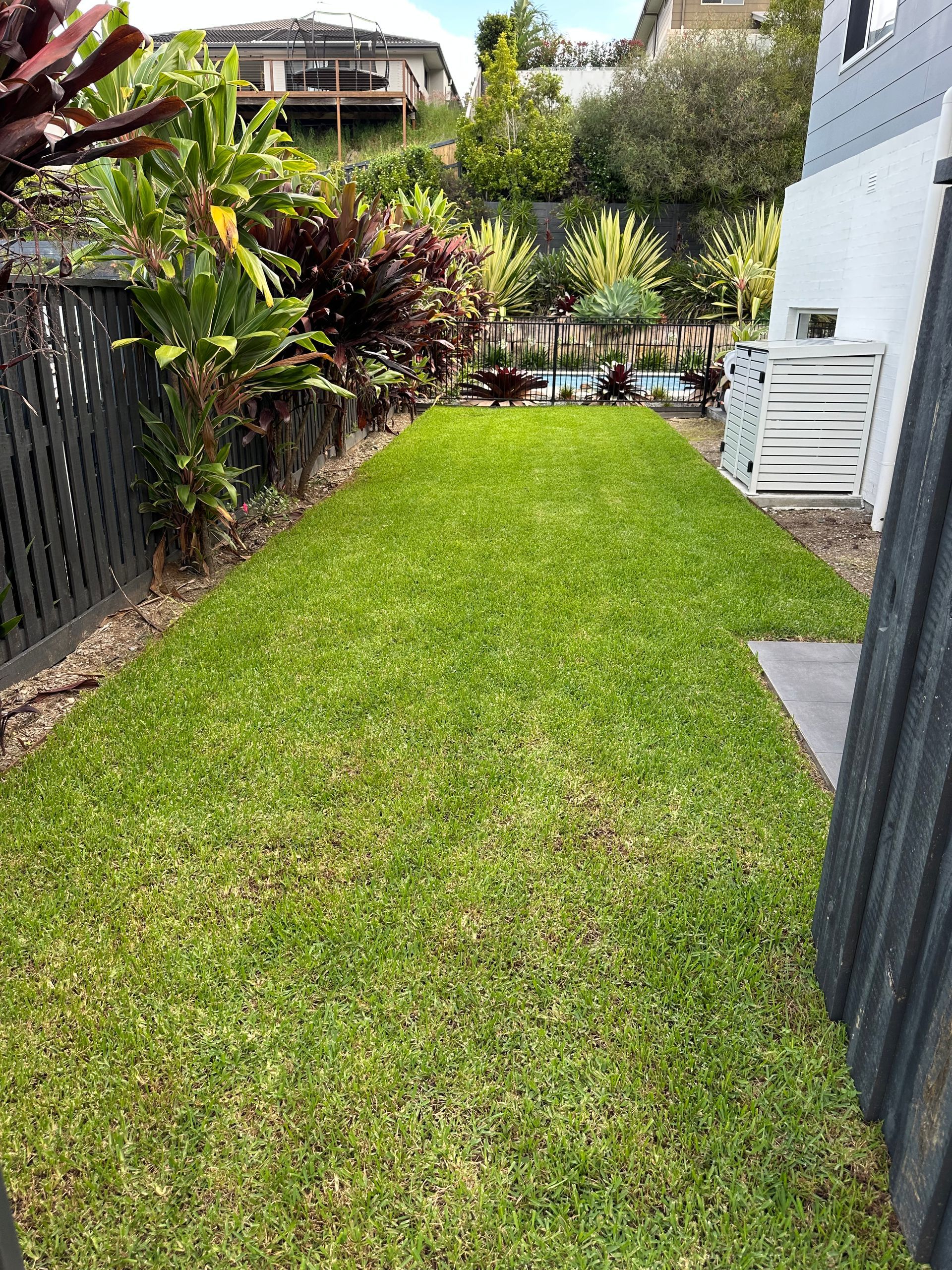 Lush green lawn along a side yard leading to a fenced pool area, bordered by tropical cordyline planting and modern home