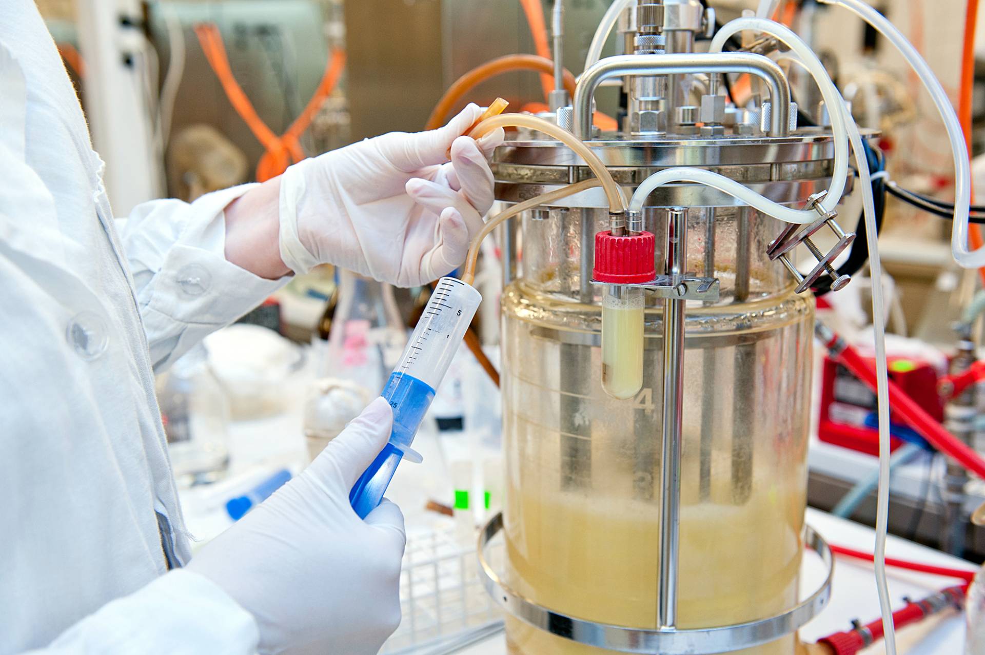 Fermentazione in laboratorio