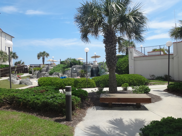 A park with palm trees and a bench in the middle