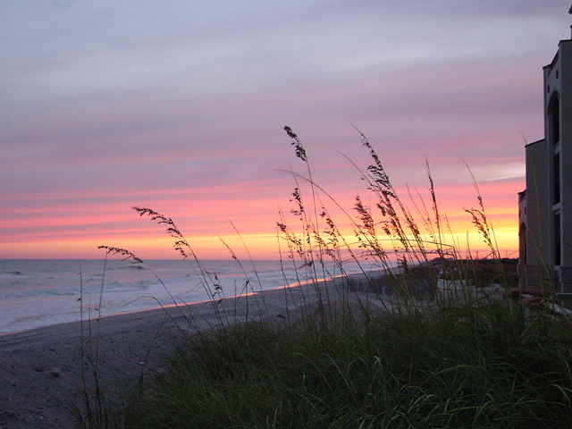 A sunset over the ocean with tall grass in the foreground