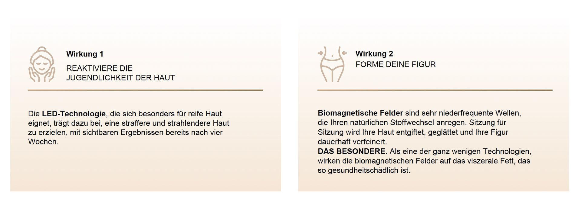 Zwei beigefarbene Informationsfolien mit kleinen Logos und schwarzem Text über ein Produkt oder eine Dienstleistung.