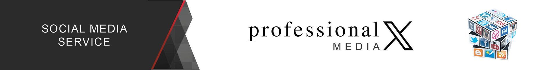 Ein Banner für Professional X Media zeigt eine Gruppe nebeneinander stehender Menschen.