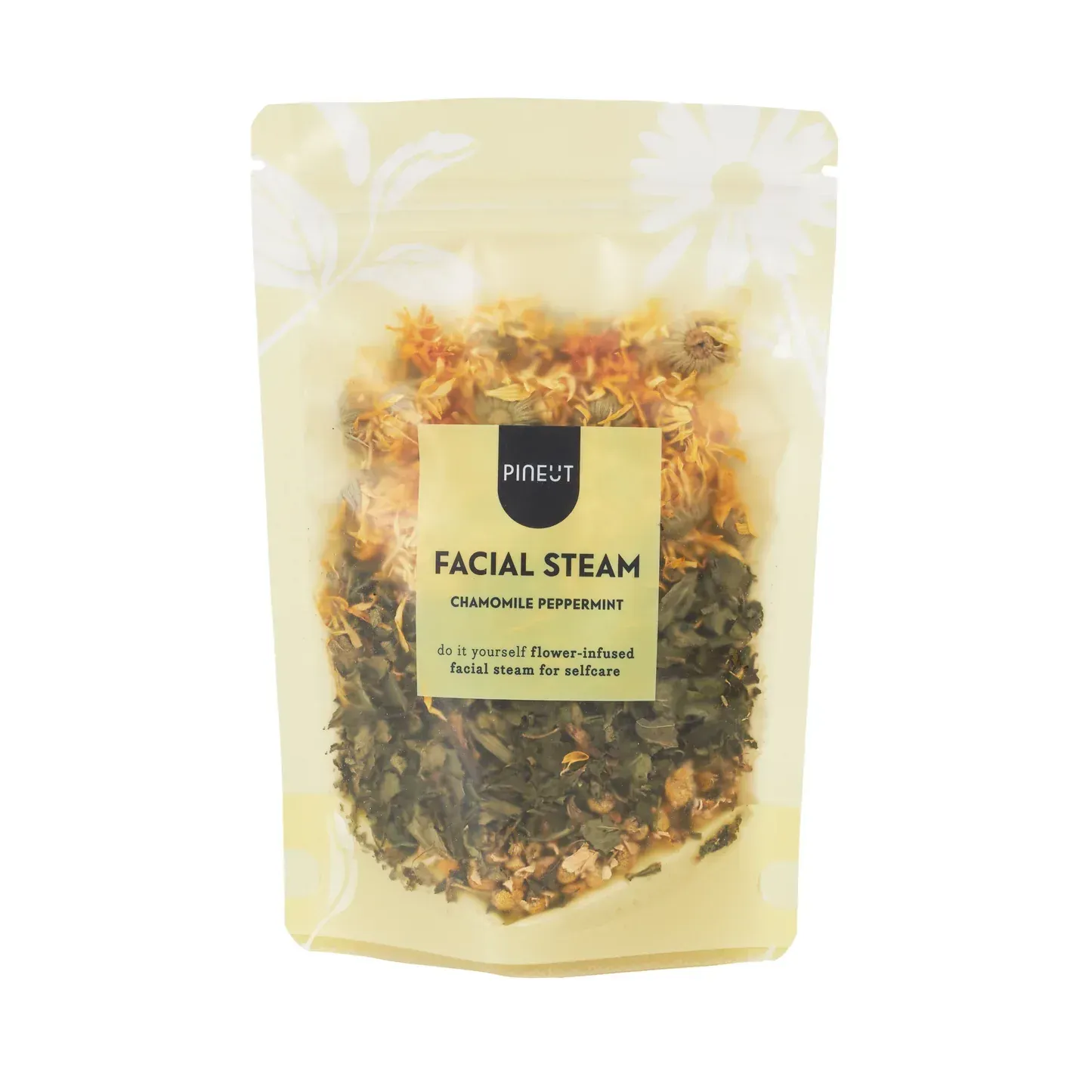 Pineut Facial Steam