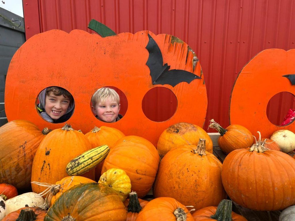 Two kids smiling through pumpkin cutout, pumpkins in foreground. Orange backdrop and pumpkins.