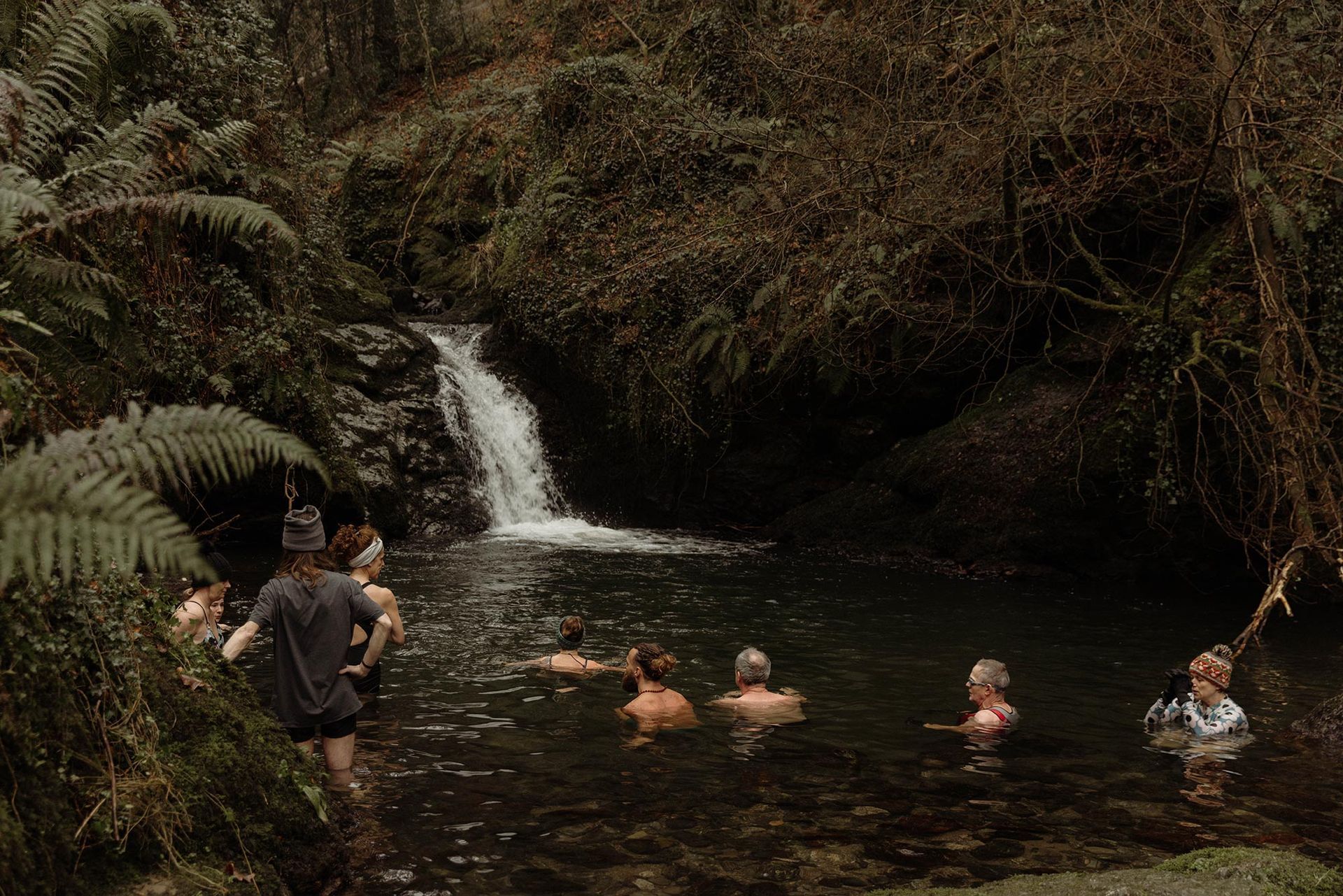People swimming in a natural pool under a small waterfall surrounded by lush green foliage.