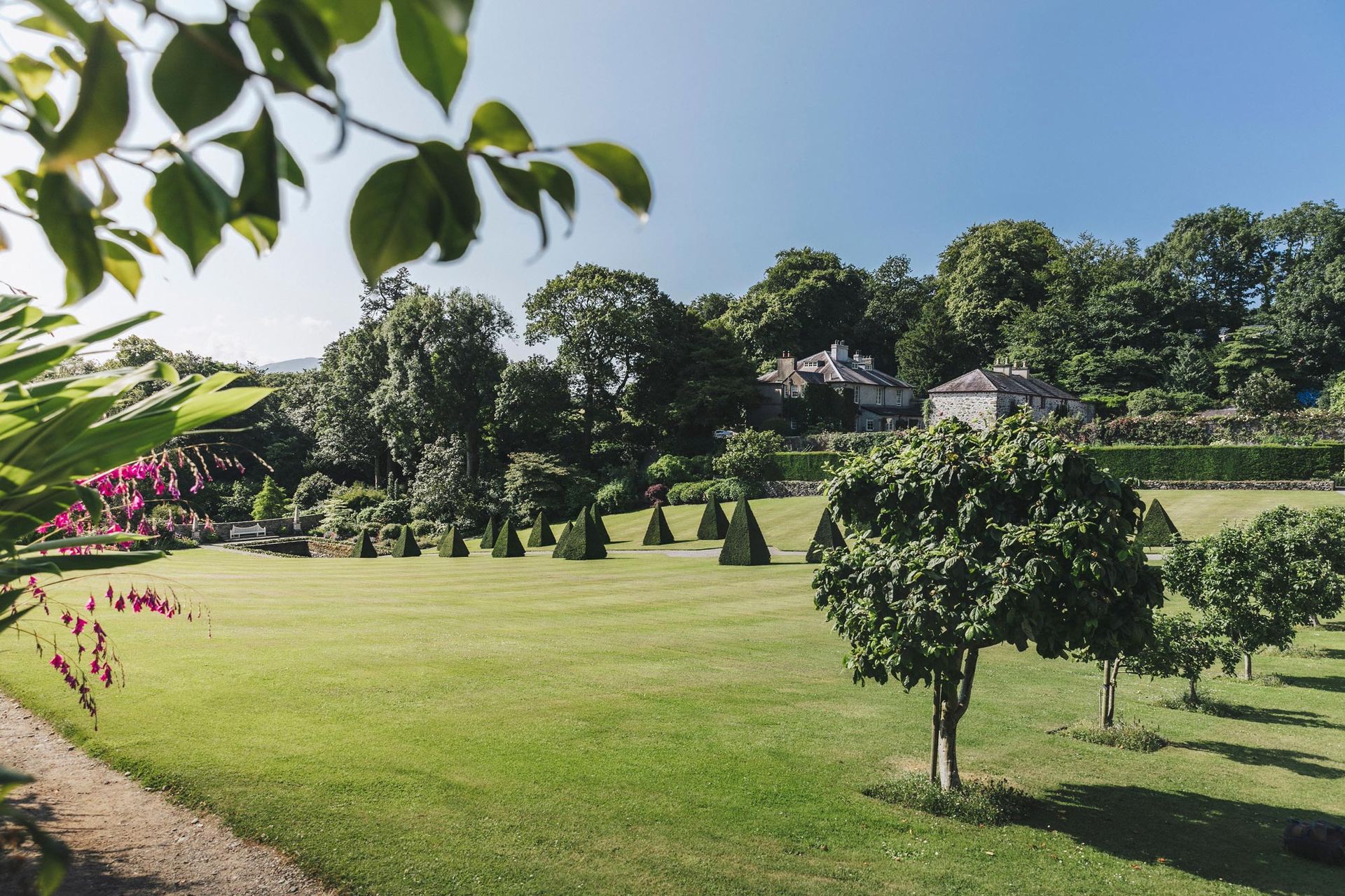 Green lawn and trees in a sunny garden with building in background.