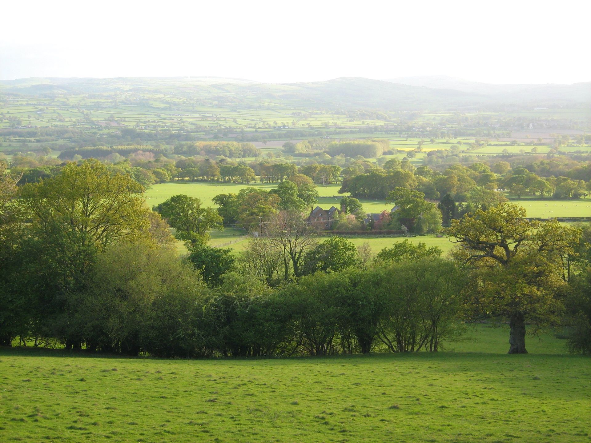 A farm in wales