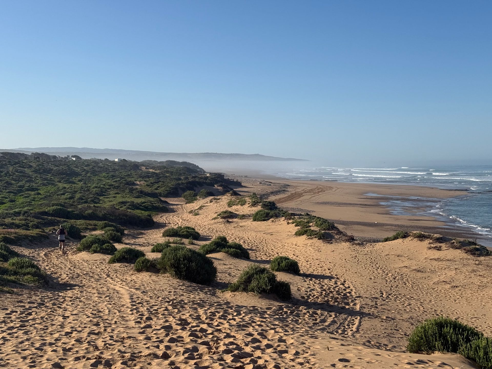 Sandy beach with green shrubs, blue sky, and ocean waves.