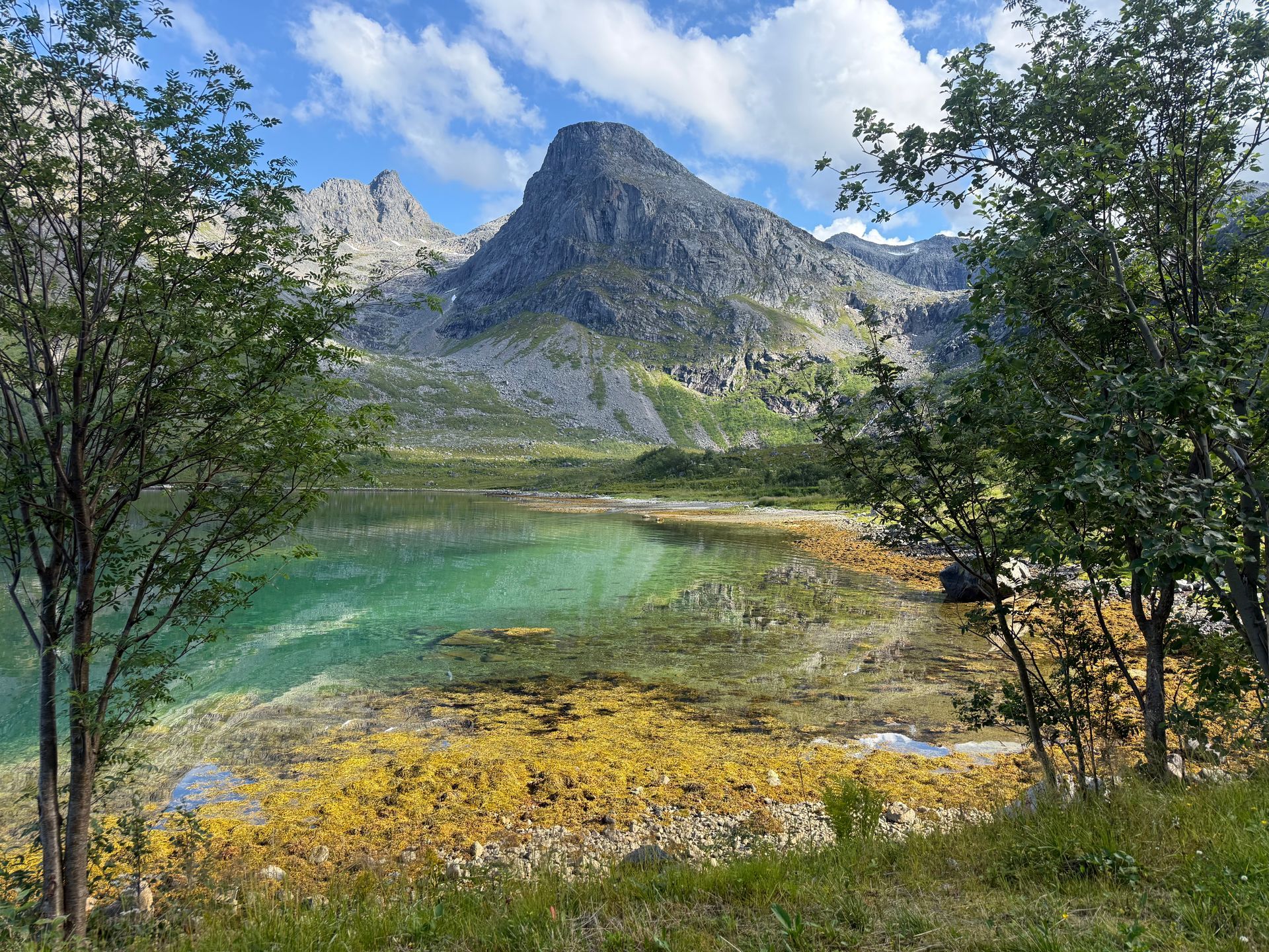 Mountain and fjord Norway