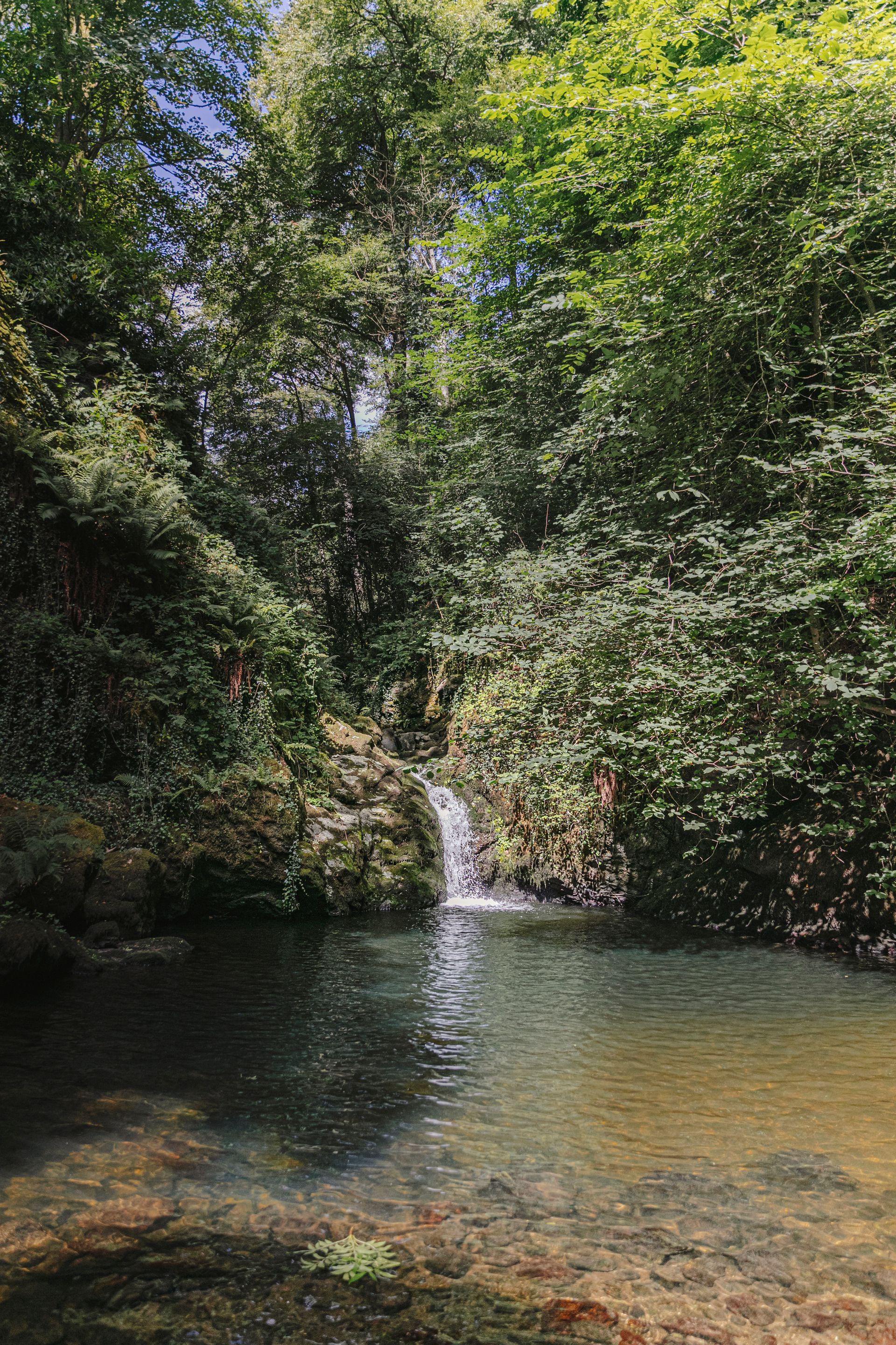 waterfall in sunlight