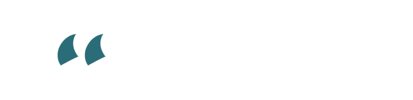 Teal quotation marks on a white background.