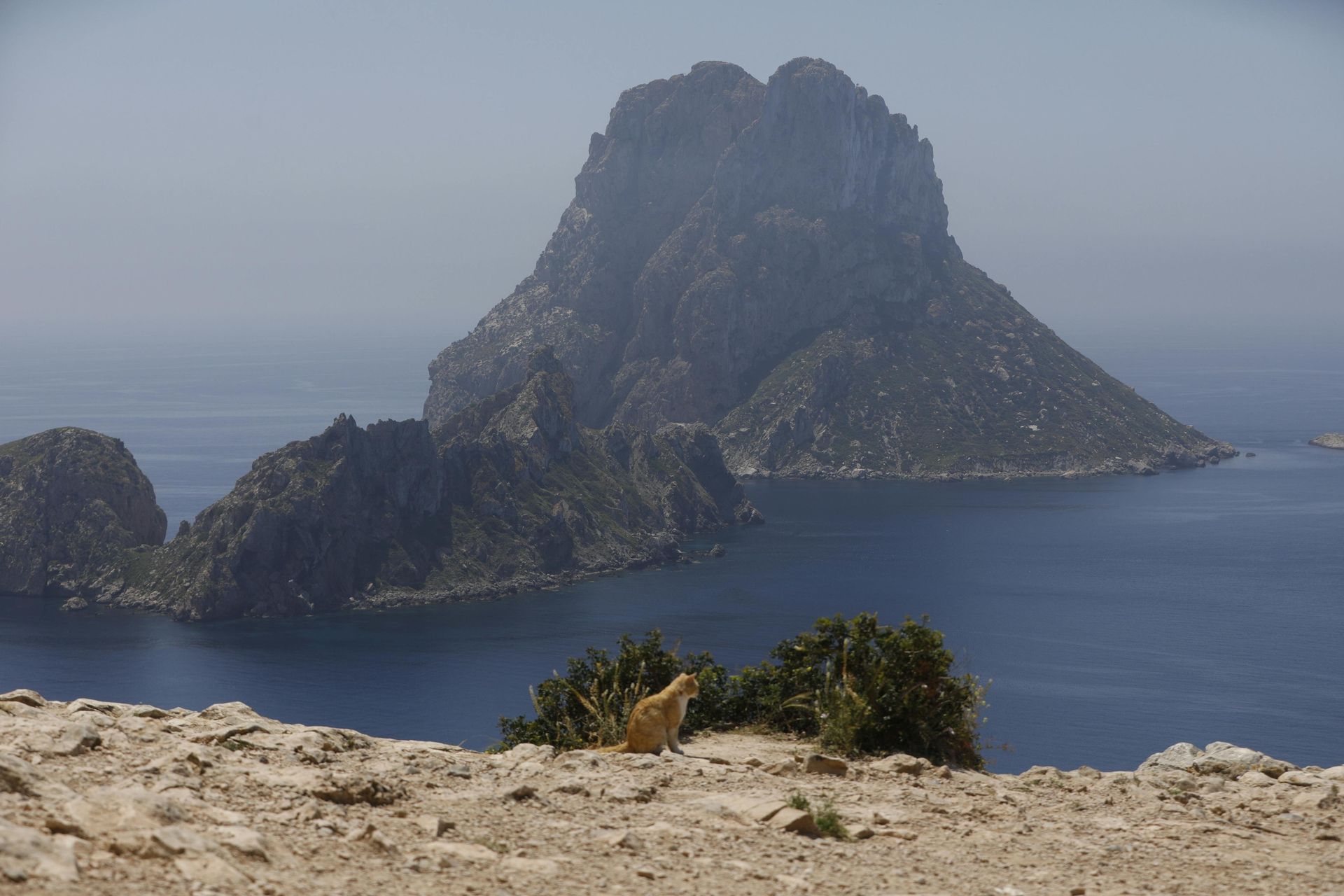 Rocky islands in the sea, viewed from a cliff on a sunny day.