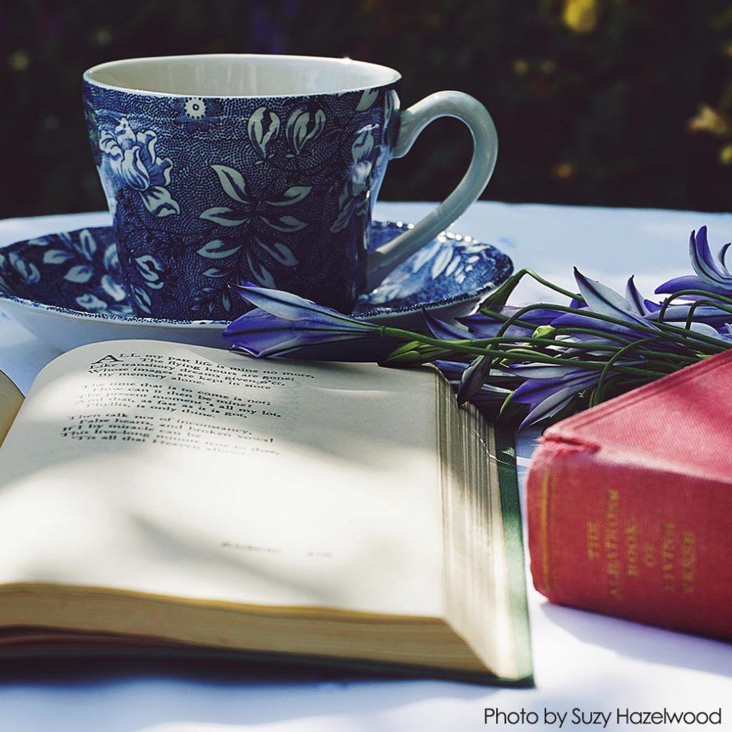 Blue patterned teacup, saucer, book, and flowers on a white table, illuminated by sunlight.