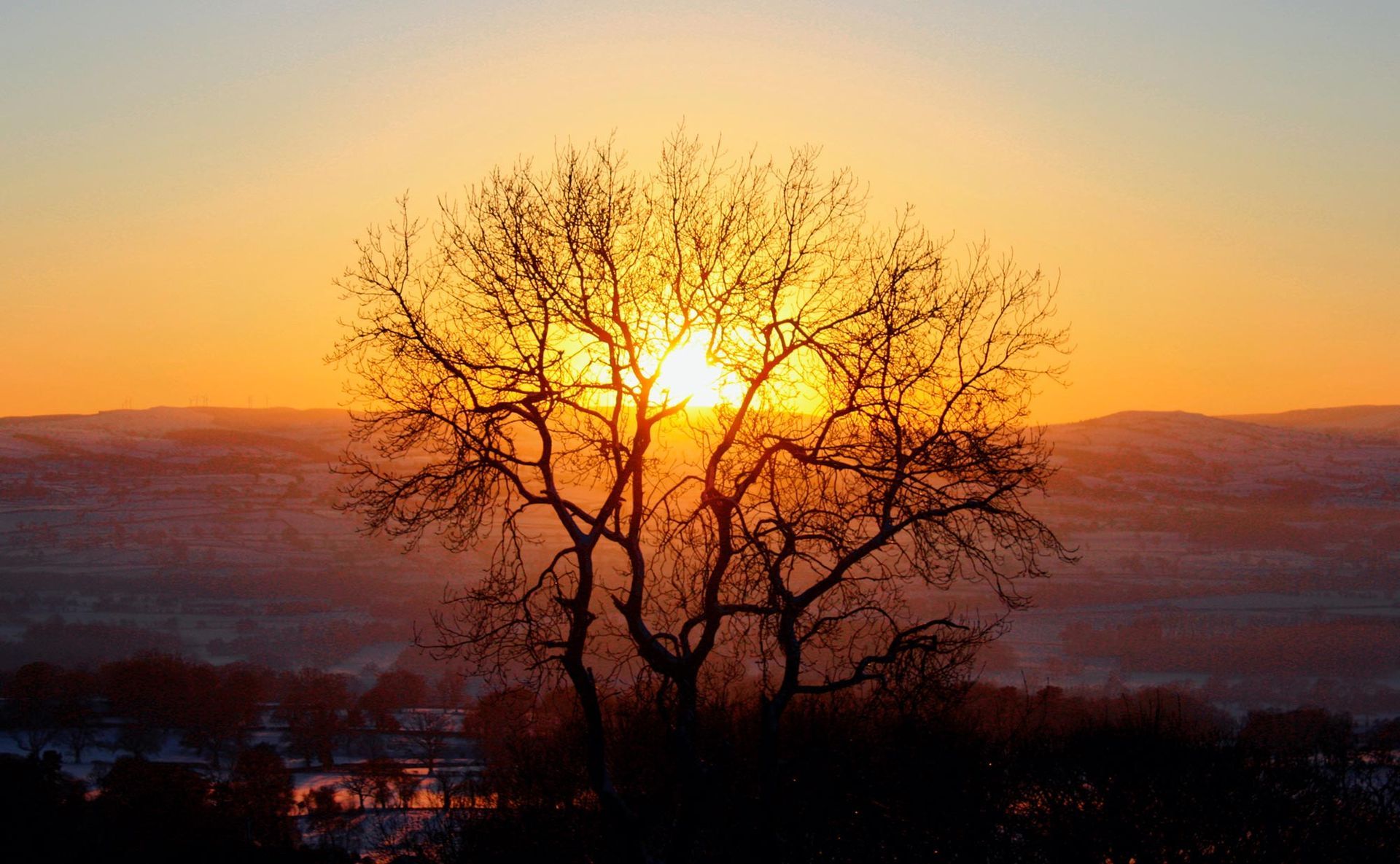 trees and hills of clwydian range sunset