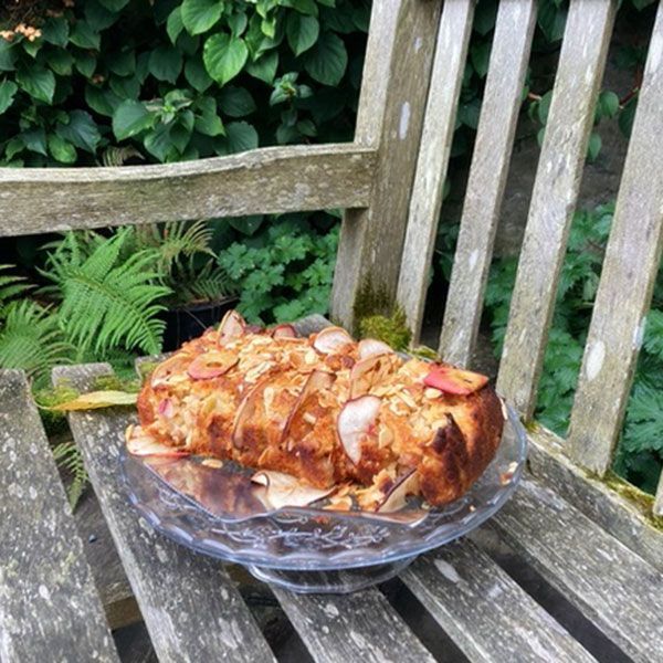 Apple cake on a glass plate sits on a weathered wooden bench in a garden setting.