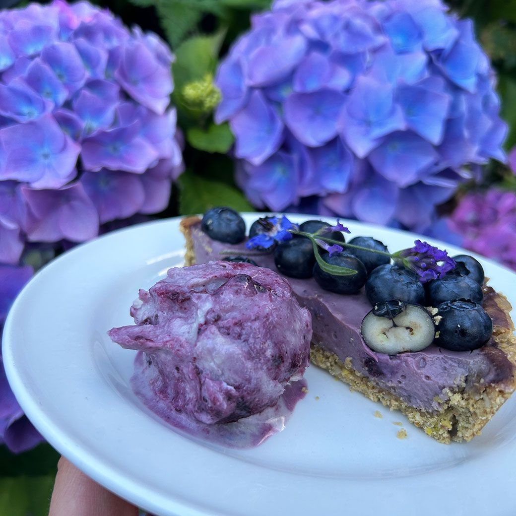 Slice of blueberry tart and ice cream on a white plate with purple hydrangeas in the background.