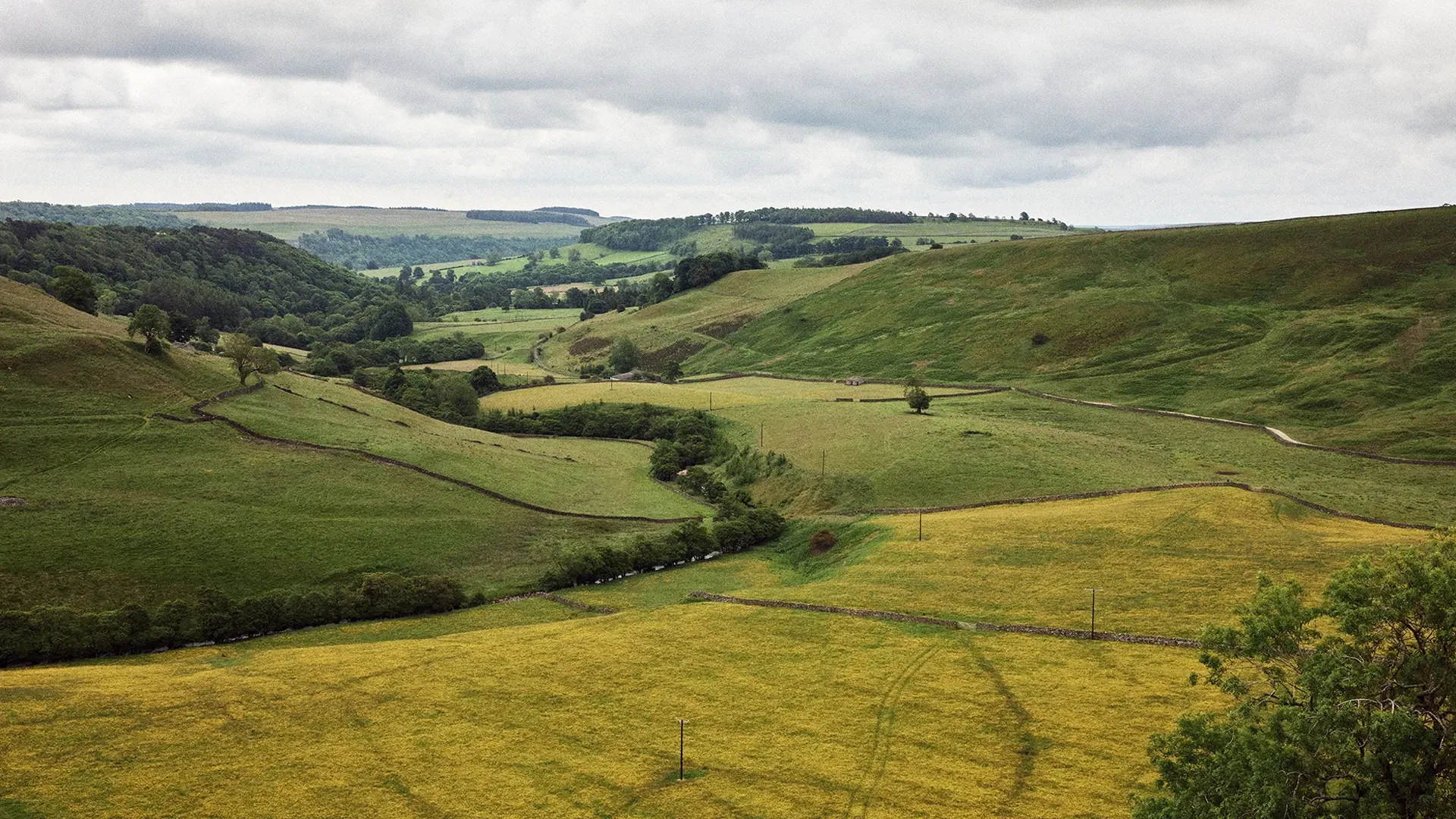 Green rolling hills under a cloudy sky, with a valley and a winding stream.