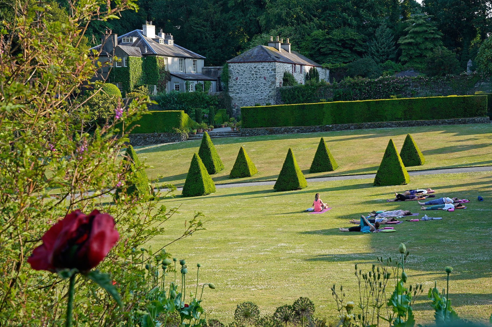 Lush green lawn with trimmed trees, people doing yoga, and a stone house in the background. Red flower in foreground.