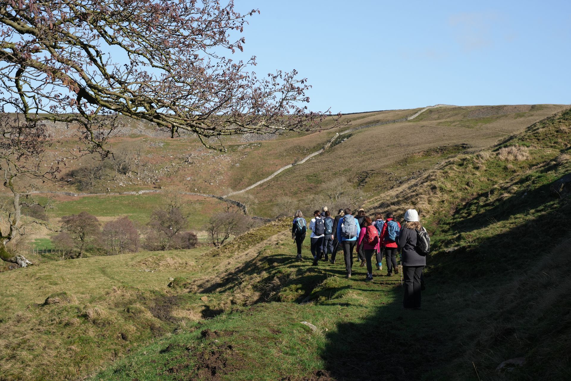 people walking workshire