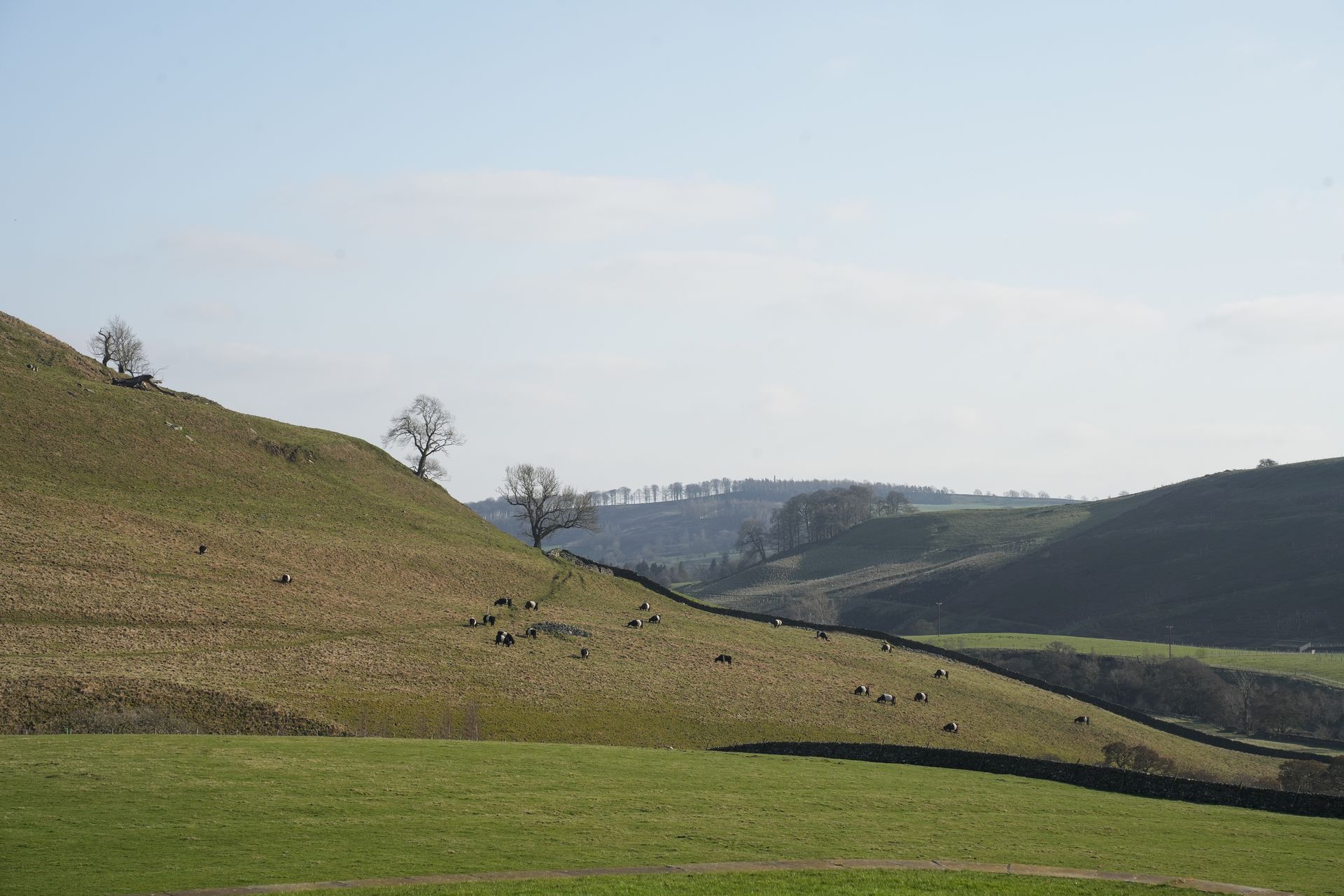 yorkshire dales