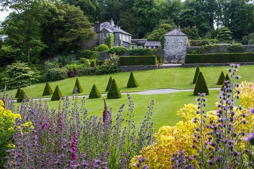 Garden with lawn and flowers