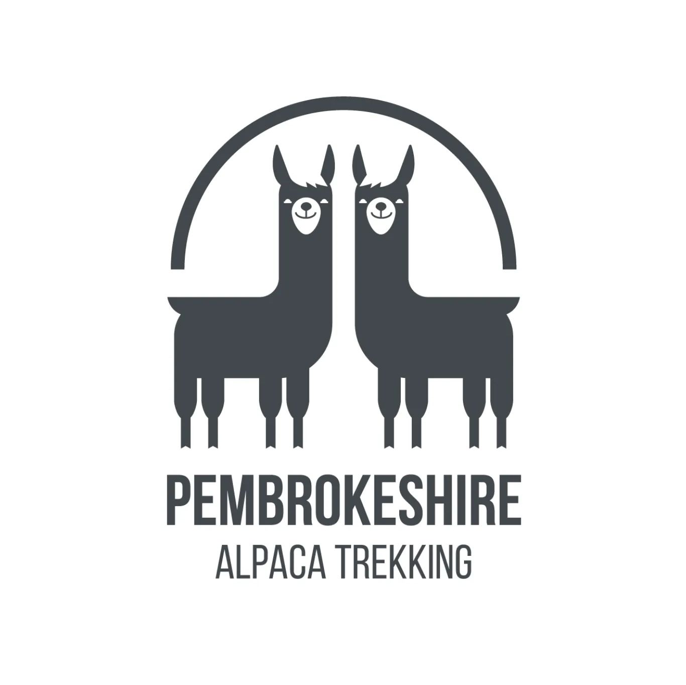 Pembrokeshire AlpacasLogo