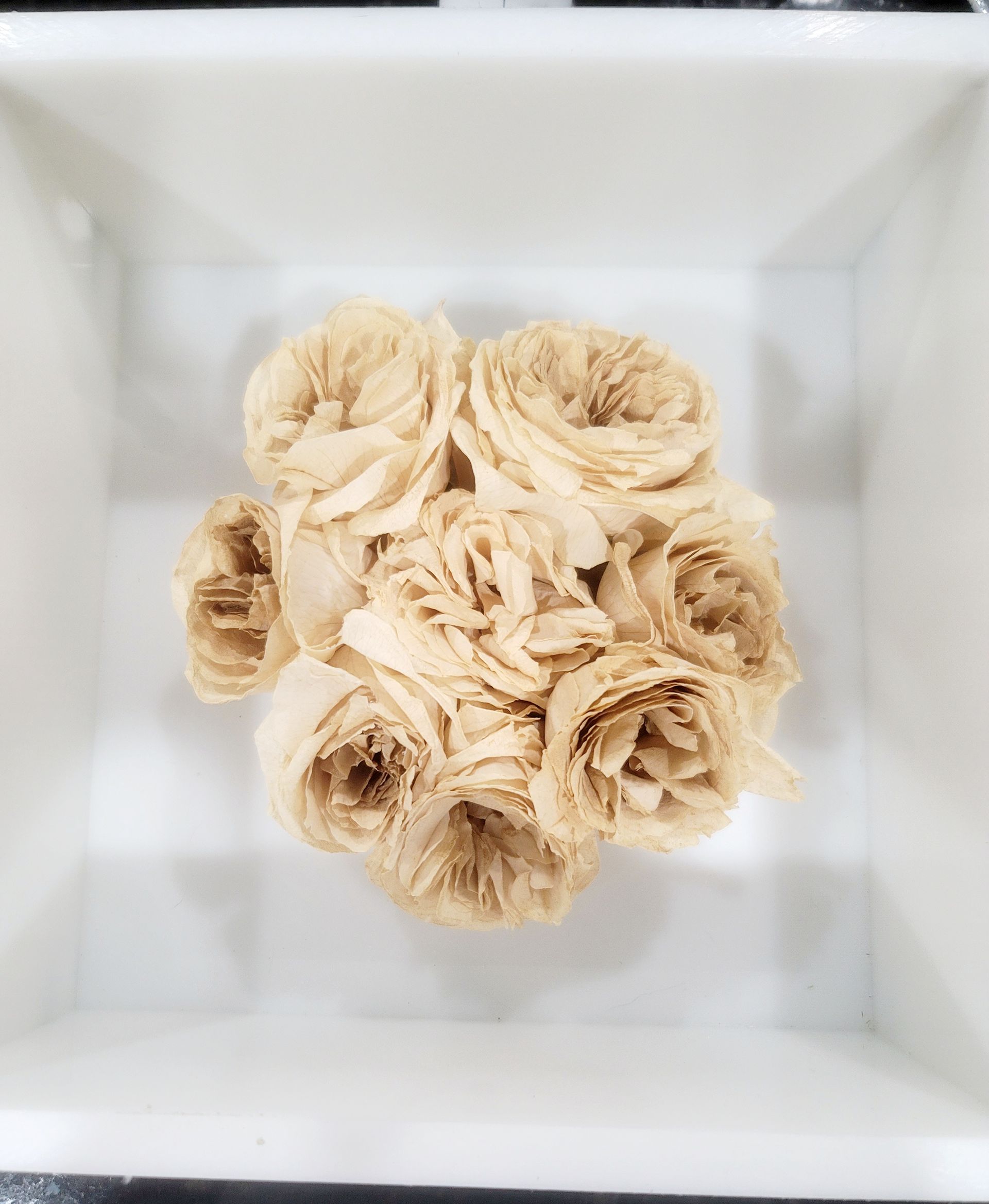 bridal bouquet preserved in shadow box