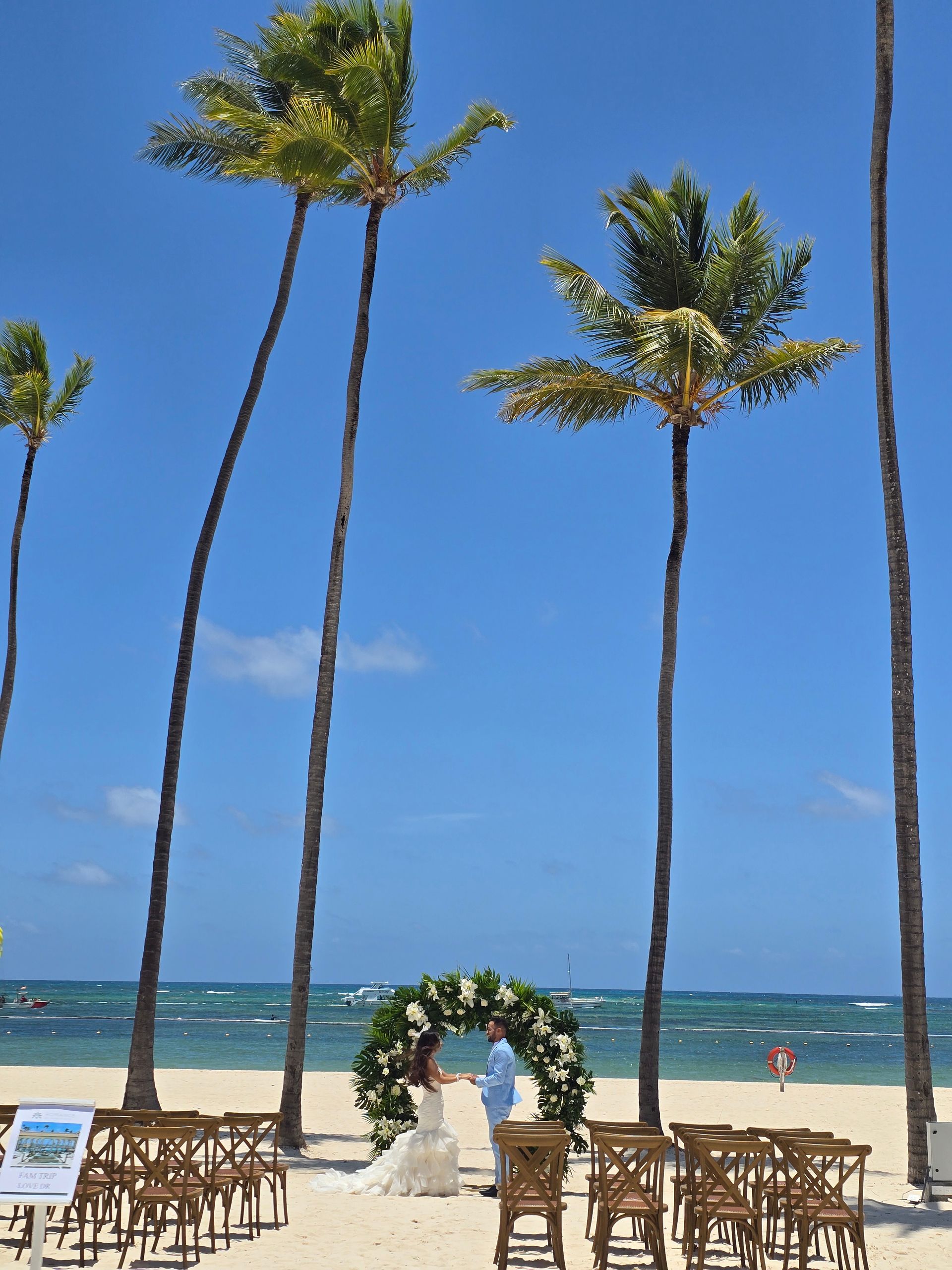 Beach wedding setup with palm trees, floral arch, and chairs facing the ocean under a blue sky