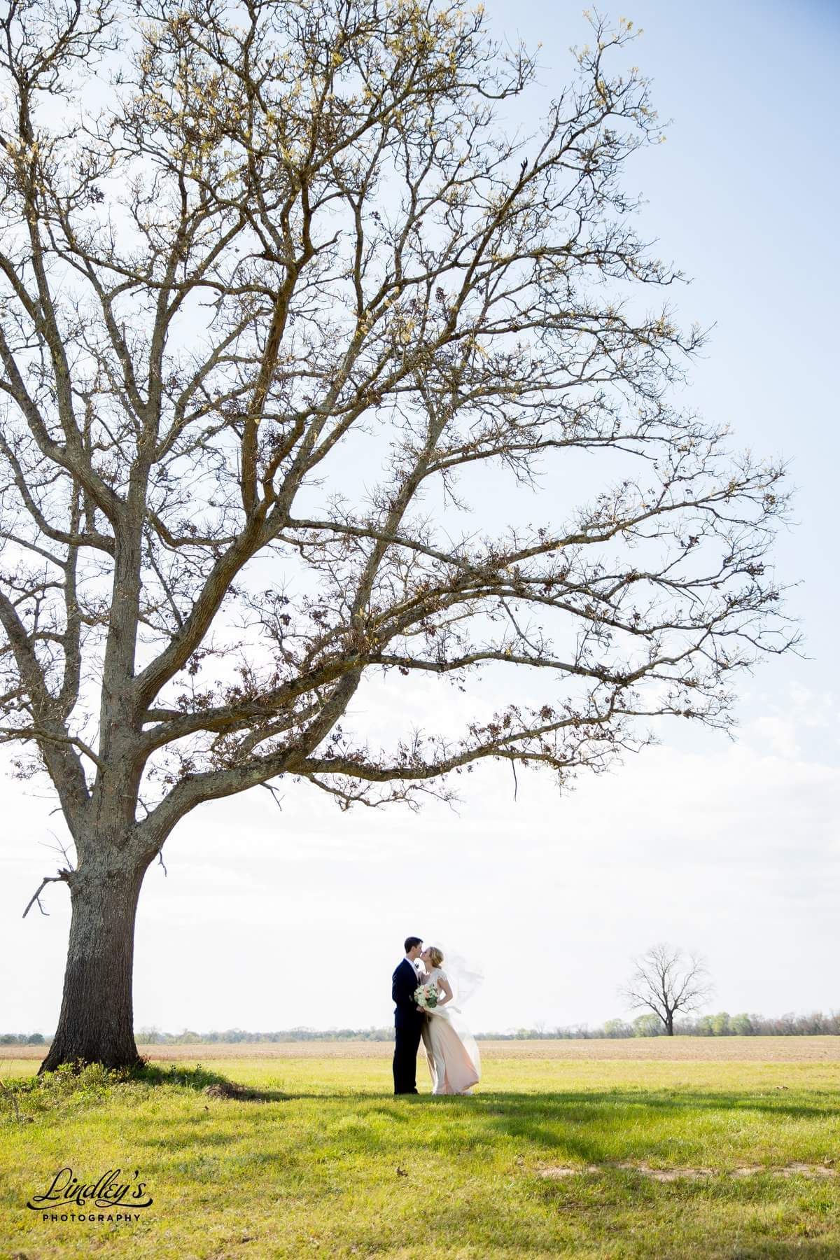couple kissing under large tree