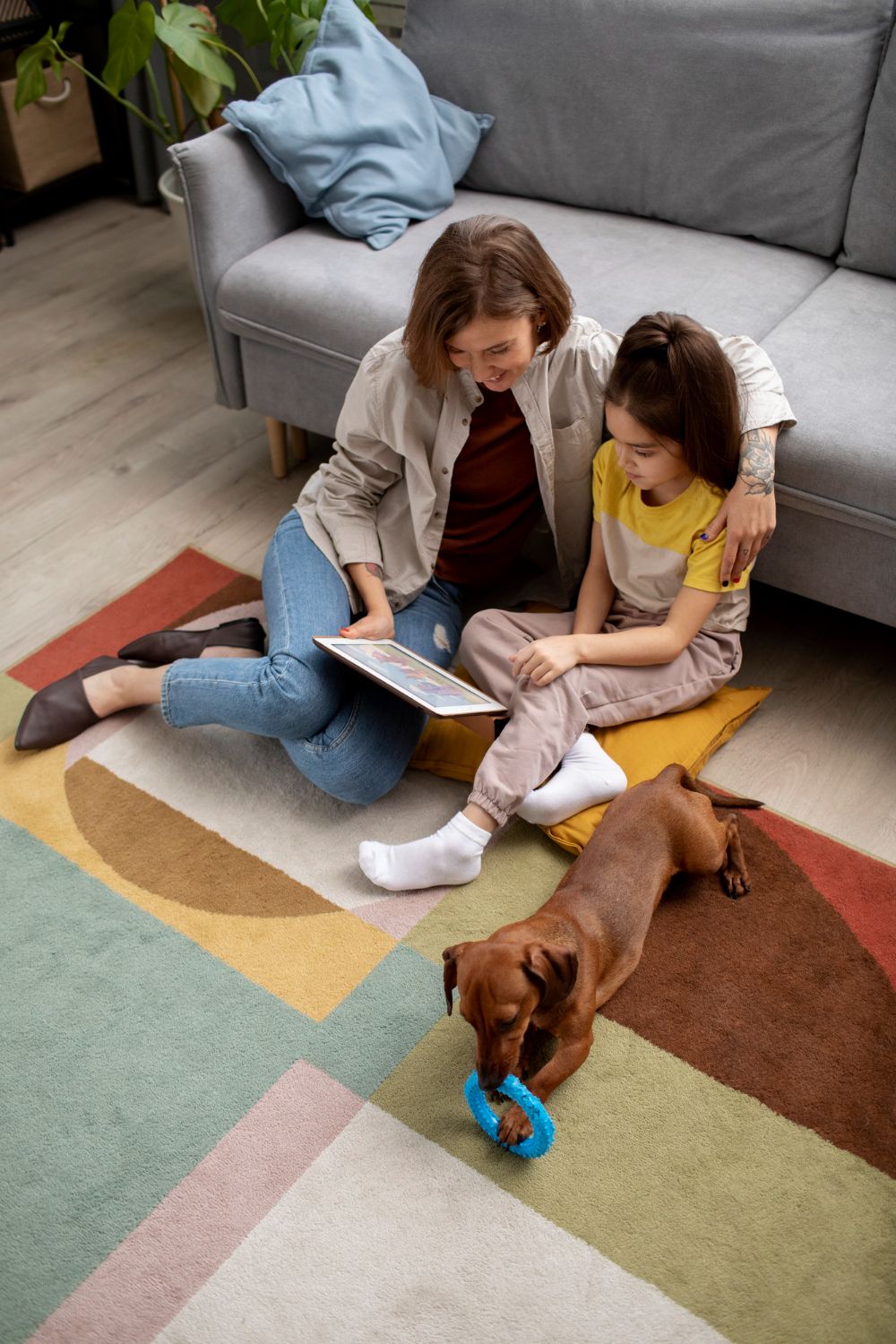 Two people sitting on a rug with a dachshund playing with a blue toy in a living room