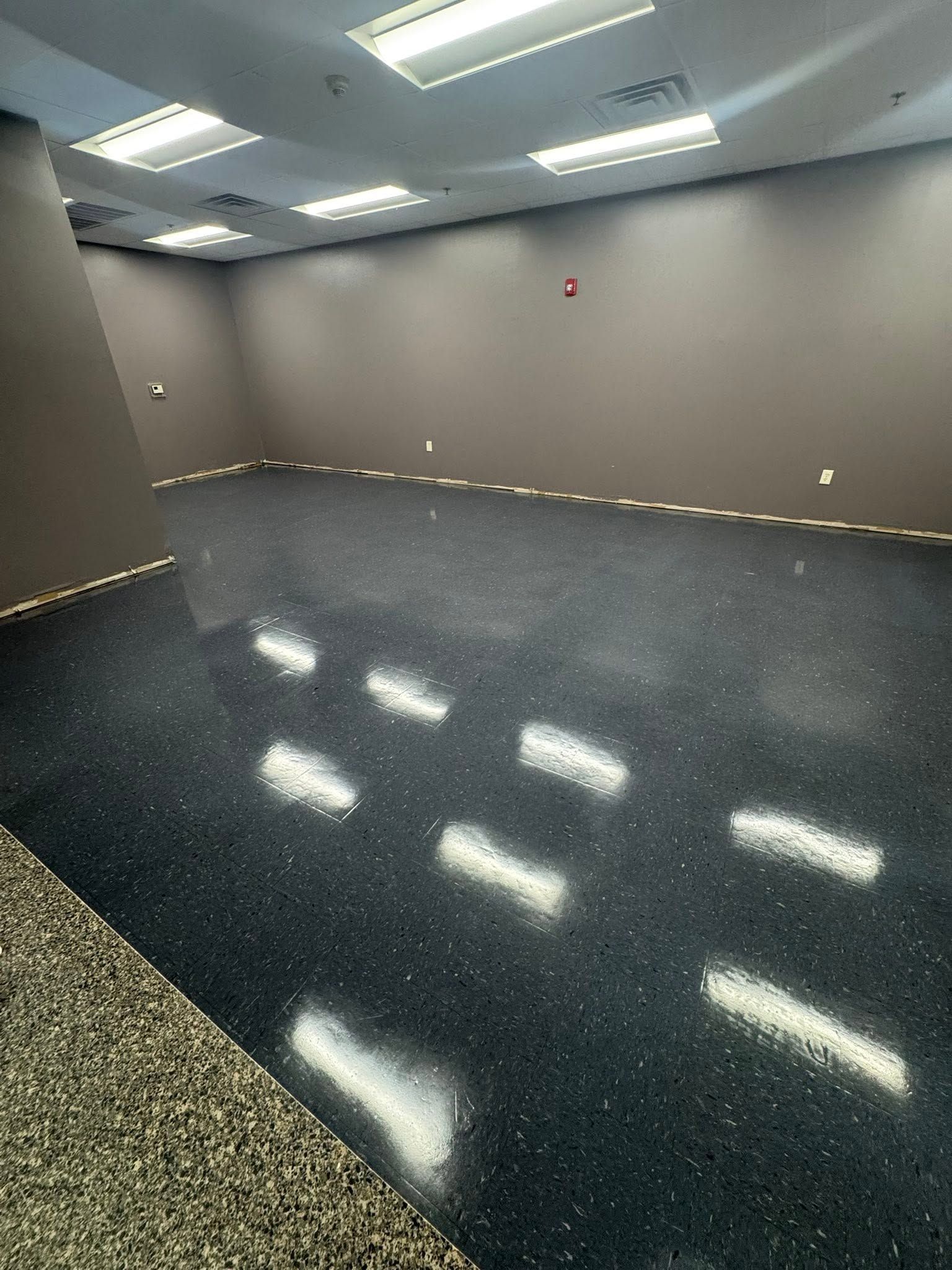Empty carpeted room with gray walls and ceiling lights reflecting on a dark floor.